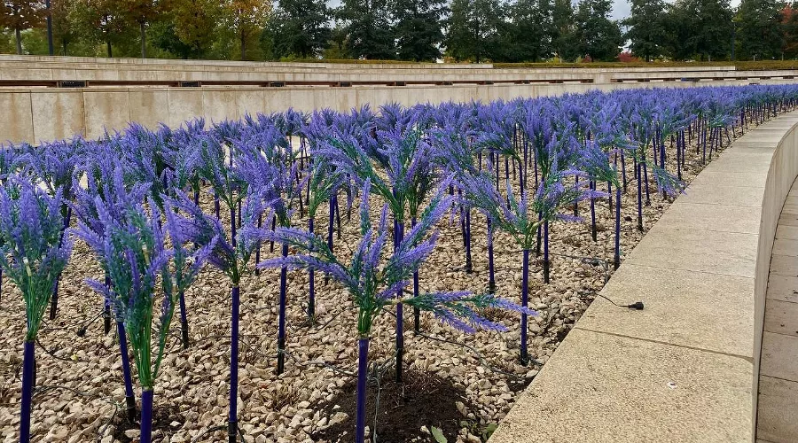 &copy;&nbsp;Фото Влады Мандрыка, Юга.ру