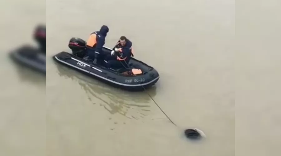  &copy;&nbsp;Скриншот из видео