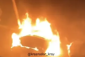  &copy;&nbsp;Кадр из видео телеграм-канала &laquo;Краснодарский край&raquo;
