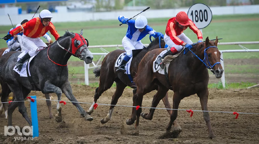 Открытие скакового сезона на краснодарском ипподроме &copy;&nbsp;Елена Синеок, ЮГА.ру