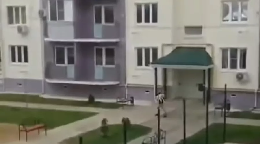  &copy;&nbsp;Скриншот из видео