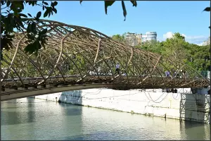  &copy;&nbsp;Скриншот из телеграм-канала мэрии Сочи https://t.me/officialsochi/52048