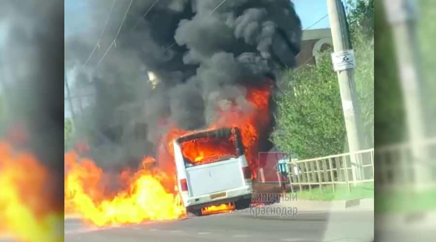  © Скриншот видео из паблика «Типичный Краснодар» vk.com/typical_krd