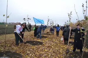  &copy;&nbsp;Фото пресс-службы администрации Каневского района