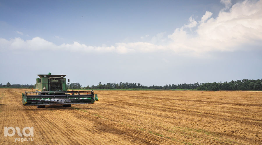  © Елена Синеок, ЮГА.ру