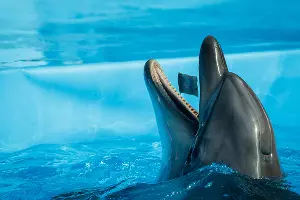  &copy;&nbsp;Фото Николая Ильина, Юга.ру