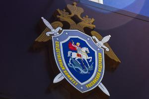  © Фото Елены Синеок, Юга.ру