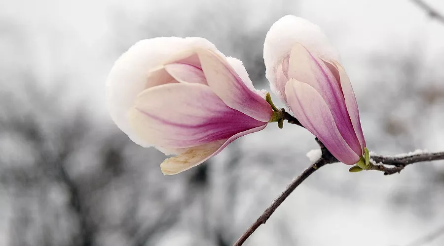  &copy;&nbsp;Алёна Живцова, ЮГА.ру