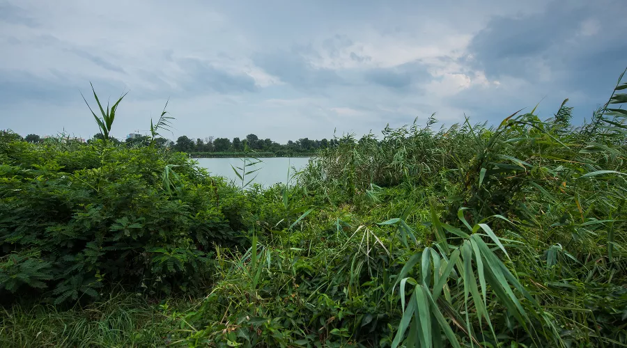 Большой остров &copy;&nbsp;Фото Елены Синеок, Юга.ру