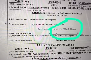  &copy;&nbsp;Изображение предоставлено Натальей Шипачевой