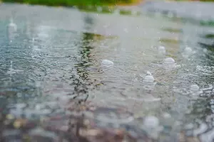  &copy;&nbsp;Фото Елены Синеок, Юга.ру