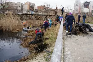  &copy;&nbsp;Фото предоставил Юга.ру телеграм-канал &laquo;Очистка и зарыбление Карасунов&raquo;