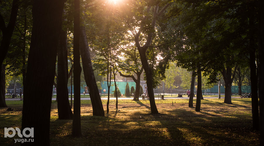  © Фото Елены Синеок, Юга.ру