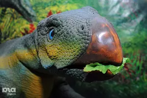 Выставка динозавров &copy;&nbsp;Елена Синеок. ЮГА.ру