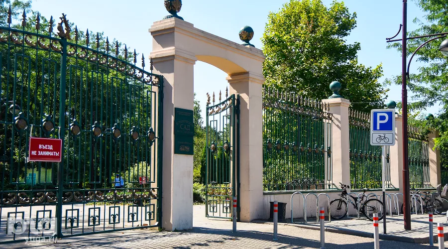  &copy;&nbsp;Фото Елены Синеок, Юга.ру