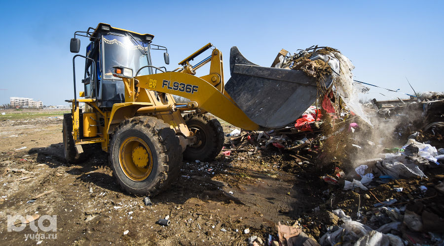  &copy;&nbsp;Фото Елены Синеок, Юга.ру