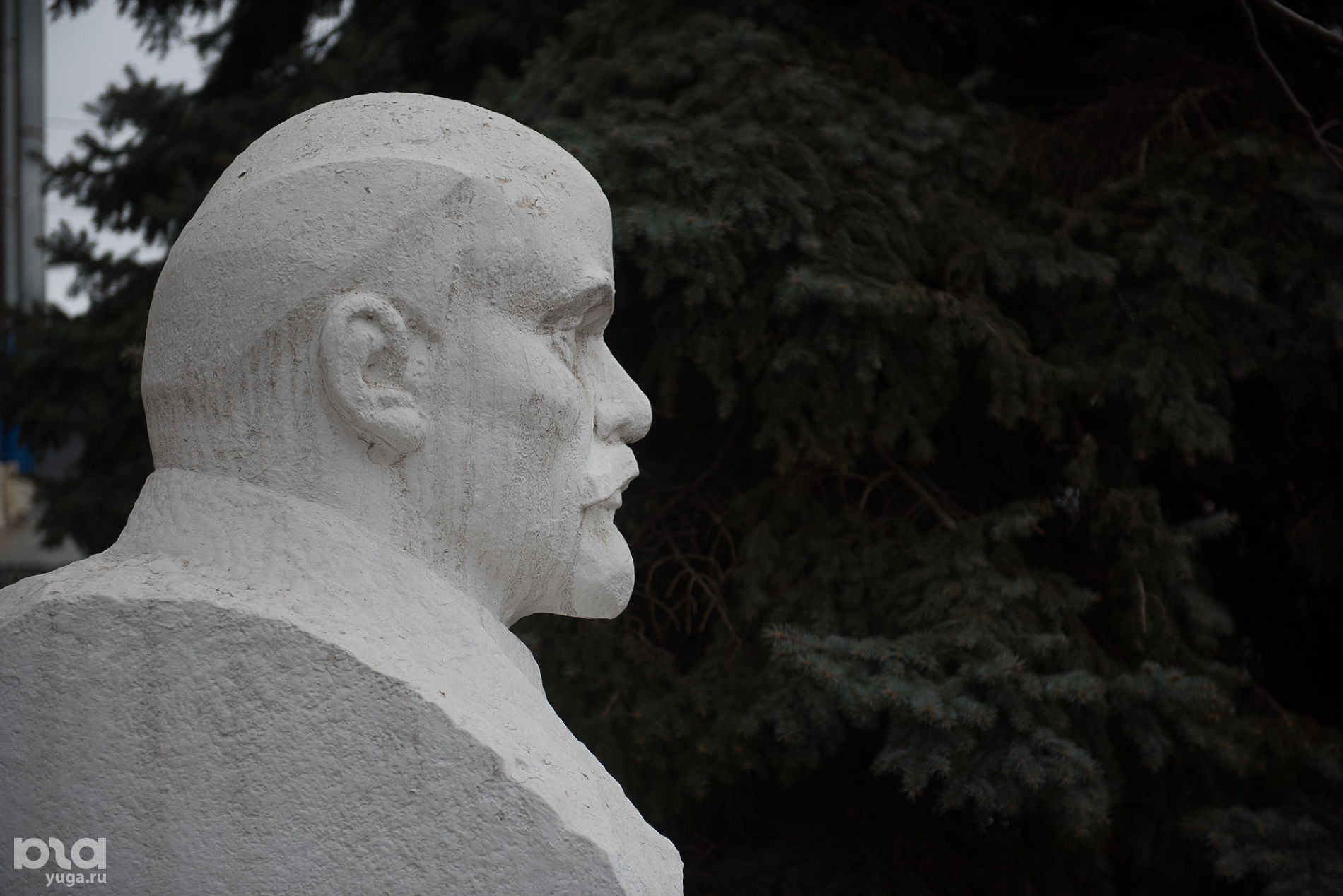 Бюст Ленина во дворе БЦ «Кавказ» на улице Коммунаров © Фото Елены Синеок, Юга.ру