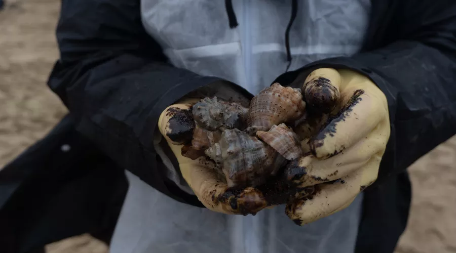  &copy;&nbsp;Фото Полины Безверхой