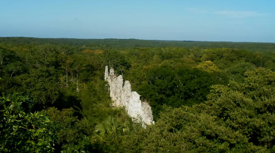  &copy;&nbsp;Фото Максима Богатырева