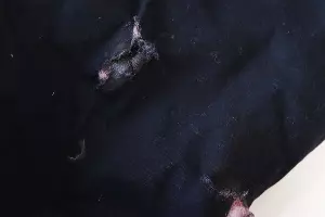  &copy;&nbsp;Фото пресс-службы Авито