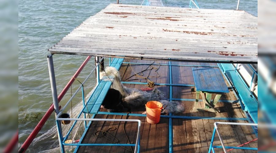  © Фото пресс-службы противопожарной и аварийно-спасательной службы Ставропольского края