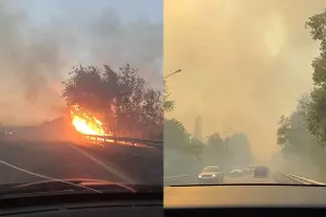  &copy;&nbsp;Скриншоты из телеграм-канала &laquo;Это Ростов, детка&raquo;  https://t.me/etorostov_tg/10169 https://t.me/etorostov_tg/10180