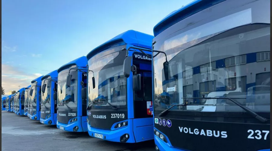  &copy;&nbsp;Скриншот из телеграм-канала замглавы Сочи по экономике и финансам Светланы Калининой https://t.me/KalininaSvetlana_Vladimirovna/3978