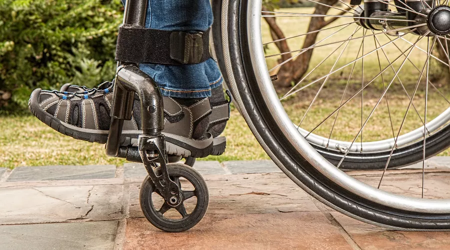  &copy;&nbsp;Фото с сайта pixabay.com