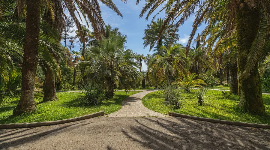  &copy;&nbsp;Фото Ula Ulachka, freepik.com