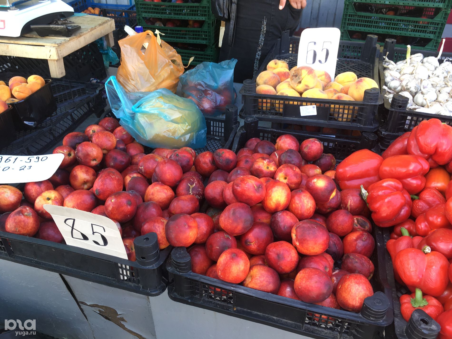 Уцененные овощи и фрукты на Восточном рынке 31.7.2023 © Фото Александра Гончаренко, Юга.ру