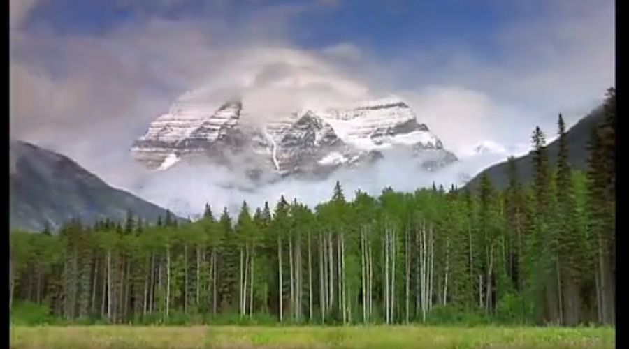 Кадр из трейлера к фильму «Земляне» &copy;&nbsp;Скриншот с сайта www.kinopoisk.ru