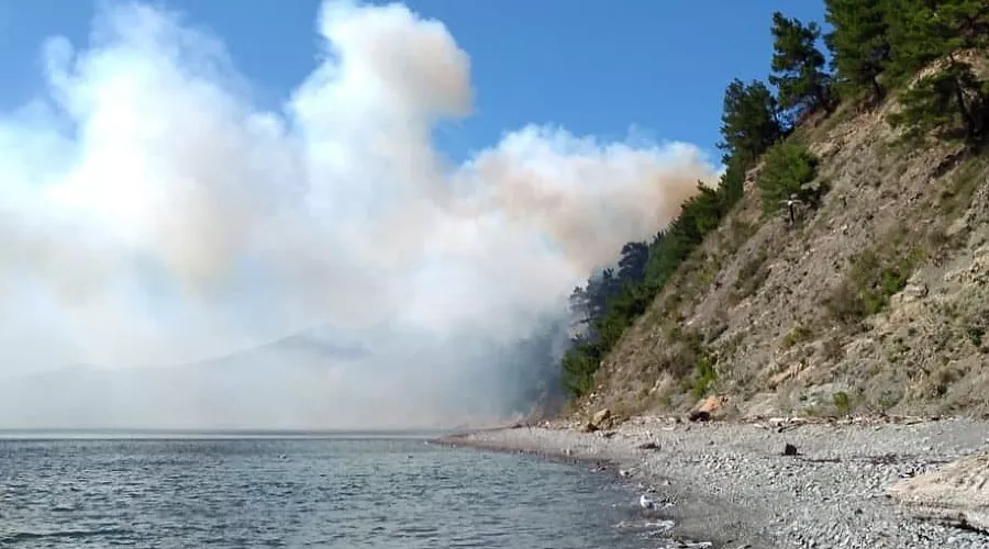  &copy;&nbsp;Фото из телеграм-канала &laquo;Типичный Краснодар&raquo;, t.me/krd_tipich_ru