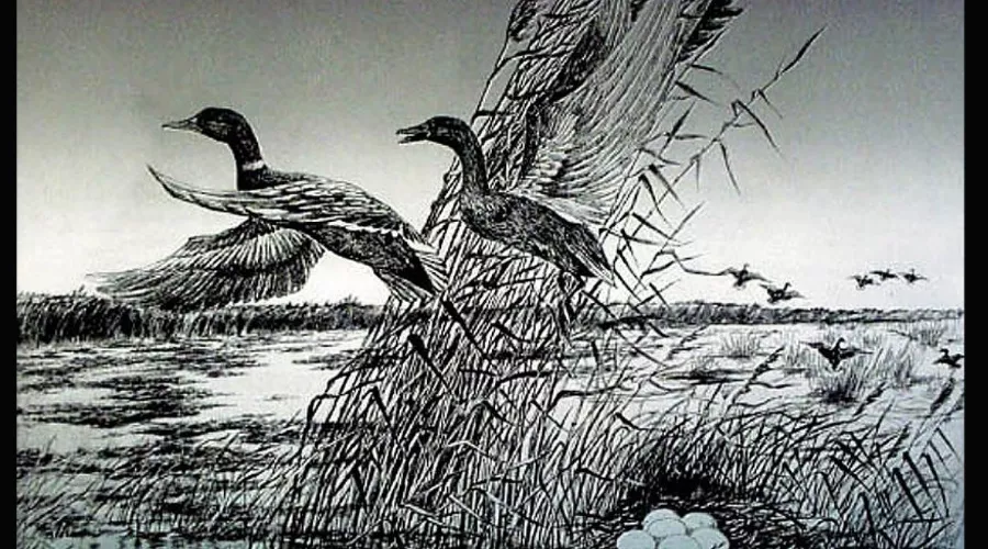  &copy;&nbsp;Скриншот фото из письма Краснодарского музея имени Коваленко