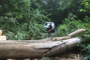  © Фото пресс-службы Кавказского биосферного заповедника