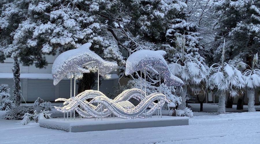  &copy;&nbsp;Фото Татьяны Дроздецкой, предоставлено Юга.ру