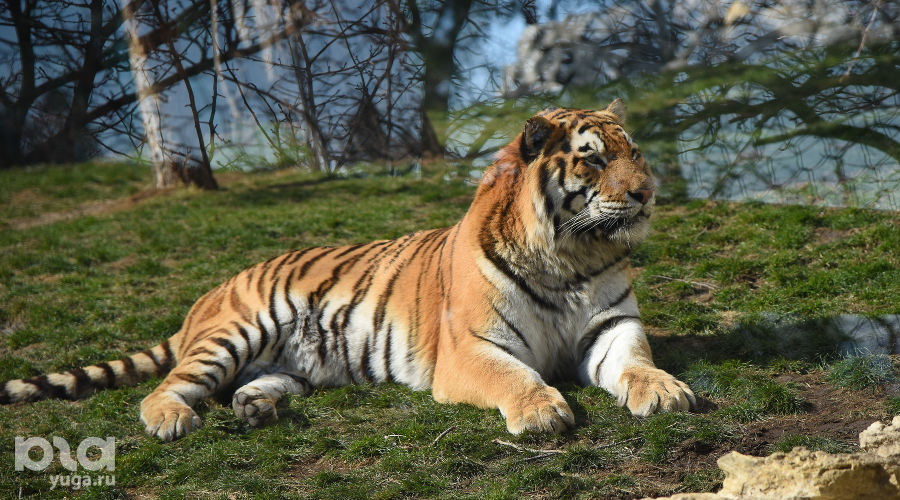  © Елена Синеок, ЮГА.ру