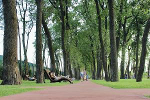  © Фото Ангелины Трофименко, Юга.ру