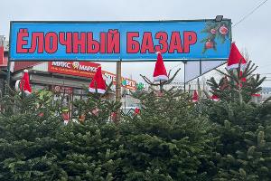  &copy;&nbsp;Фото Марии Журавлевой, Юга.ру