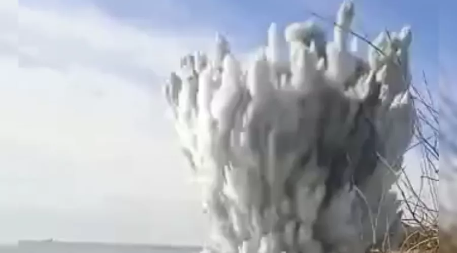  &copy;&nbsp;Скриншот из телеграм-канала &laquo;Россия.Кубань&raquo;, t.me/russiakuban