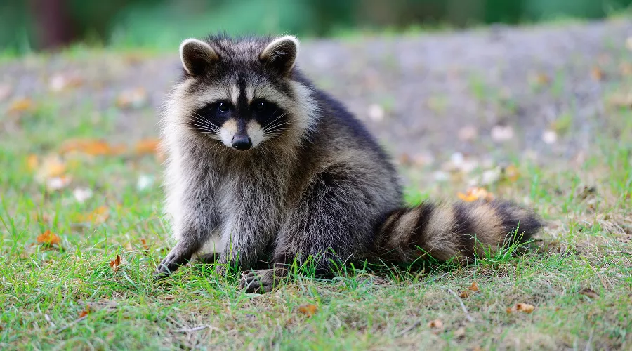  &copy;&nbsp;Фото пользователя TravelScape с сайта freepik.com