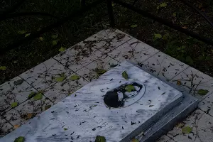  &copy;&nbsp;Фото Катерины Данильян