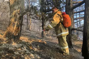 Пожар в заповеднике «Утриш» &copy;&nbsp;Фото Виталия Кавтарадзе