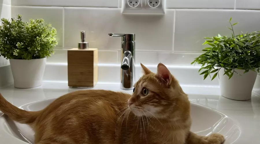  &copy;&nbsp;Фото Александры Булавкиной, Юга.ру