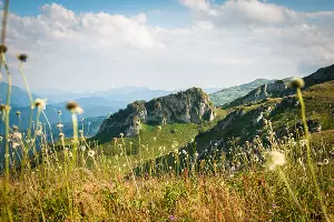  &copy;&nbsp;Фото Елены Синеок, Юга.ру