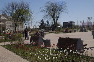  © Фото Марии Строителевой, Юга.ру