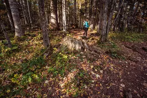  &copy;&nbsp;Фото Евгения Маханько
