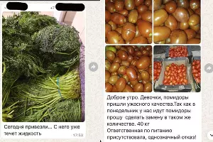  &copy;&nbsp;Скриншот фото из телеграм-канала &laquo;Красный темник (Александр Сафронов)&raquo;