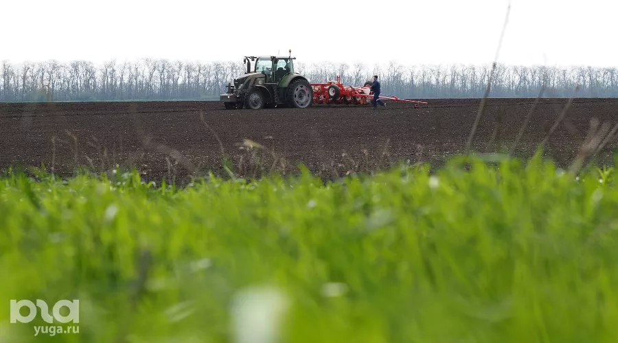  &copy;&nbsp;Фото Виталия Тимкива, Юга.ру