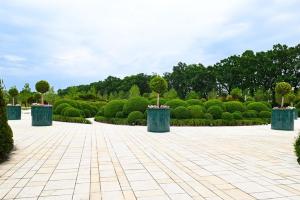  © Скриншот из телеграм-канала https://t.me/parkkrd/2364