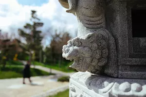 Японский сад &copy;&nbsp;Антон Быков, Юга.ру